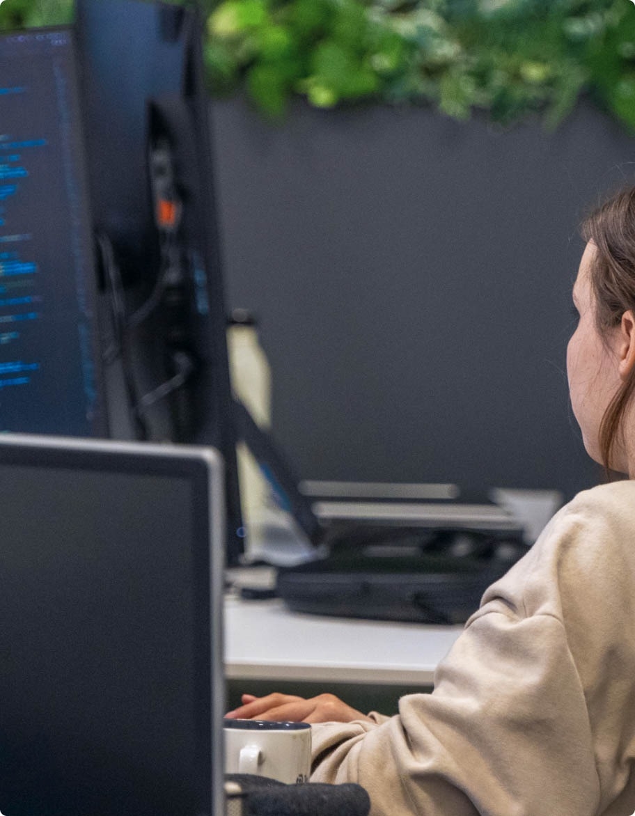 QA engineer working on a manual testing project.