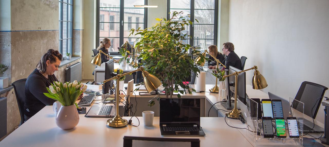 4 Things To Consider When Looking for Your First Job in IT