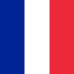 French flag icon